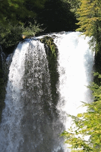 August 5, 2013 - Koosah Falls