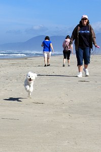 August 27, 2012 - Run Peggy Run
