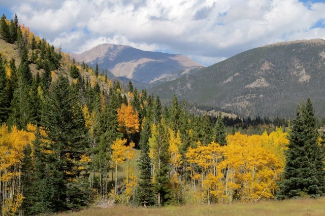 RMNP_Aspens_6